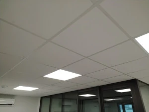 Plafond suspendu 1