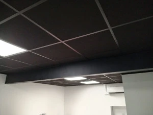 Plafond suspendu 2