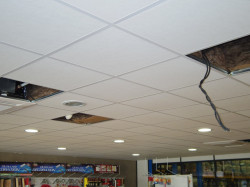 Plafond suspendu Nantes