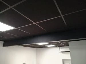 Plafonds suspendus Angers